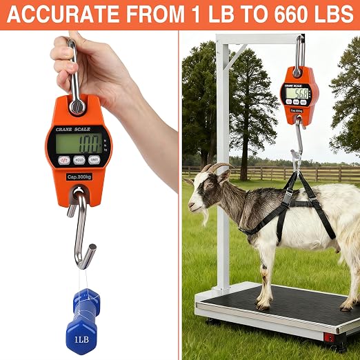 660lb/300kg Digital Crane Scale - Compact LCD Handheld Hanging Scale for Garage, Farm, Hunting, Fishing & More(300kg/Plastic/Orange)
