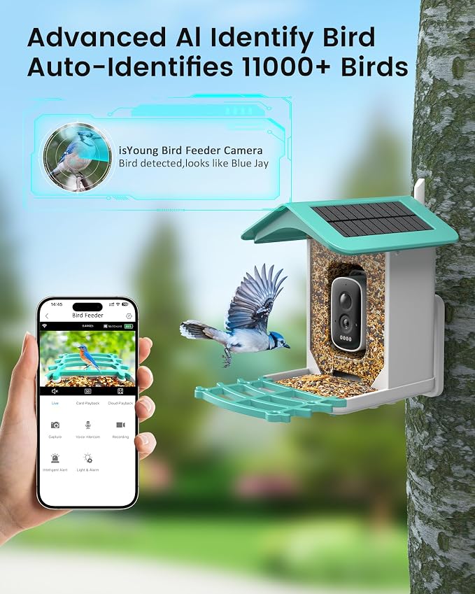 Smart Bird Feeder Camera (Dual Panel), Solar Powered, Identify 11,000+ Birds with AI, Auto Capture & Notify, 2K HD Footage, Outdoor Bird Watching, Ideal Gift for Birds Lovers.