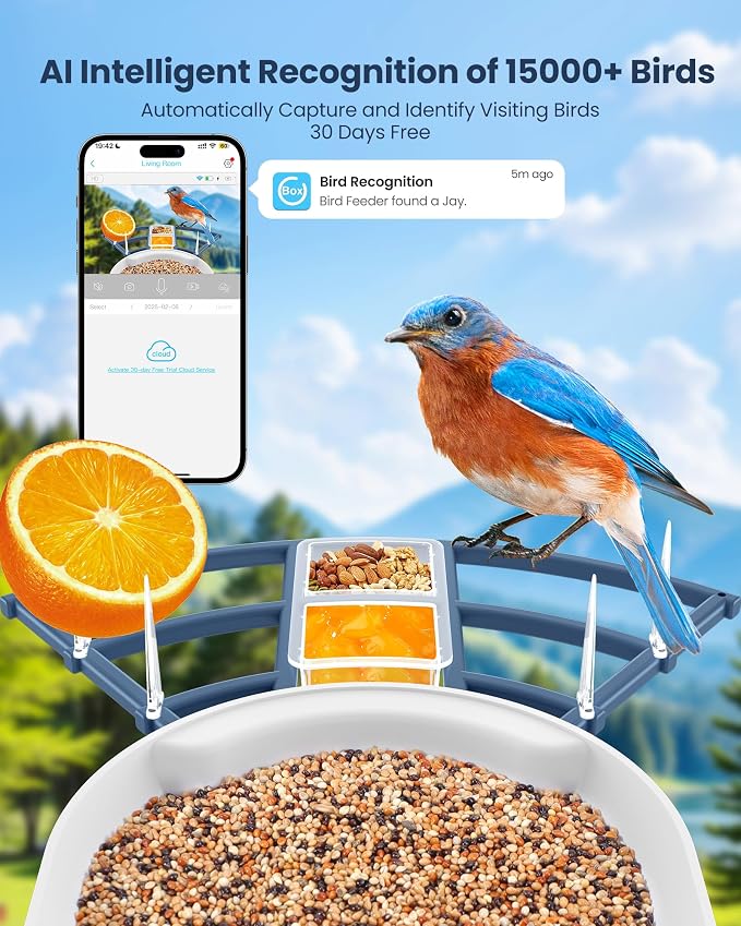 Smart Bird Feeder with Camera, AI Bird Identification, Solar Powered Wireless Outdoor Bird Watching Camera, Auto Capture Video & Instant Notifications for Bird Lovers