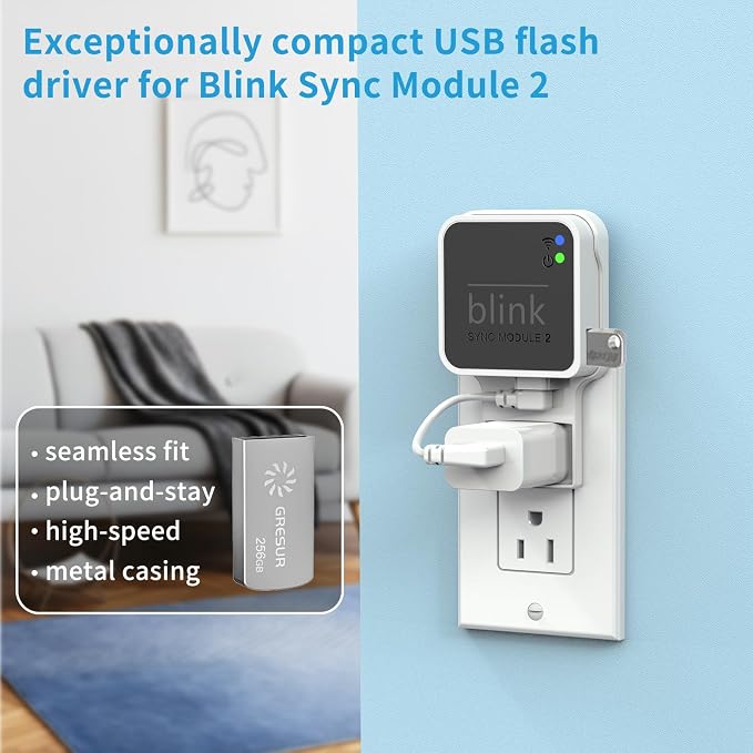 256GB USB Flash Drive for Local Video Storage with The Blink Sync Module 2 Mount (Blink Add-On Sync Module 2 is NOT Included)