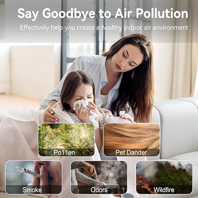 Air Purifiers for Home Large Room Up to 2000 Ft² with Washable Filters, AIUZLK H13 HEPA Filter,Bedroom Air Purifier for Pet,Air Cleaner for Smoke Pet Hair Dander Odor,P260 (Black)