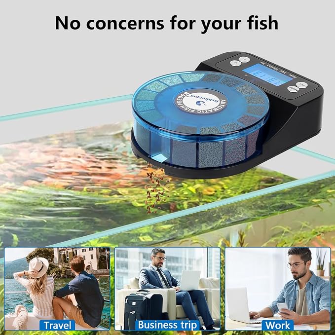 fishkeeper Automatic Fish Feeder for Aquarium+Aquarium Bubbler