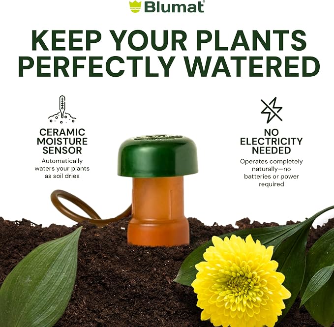 Blumat Classic Self-Watering Stakes - Prevents Overwatering and Underwatering for Healthy Growth While You are Away - Ideal for Indoor Plant Watering, 6 Pack, w Adapter