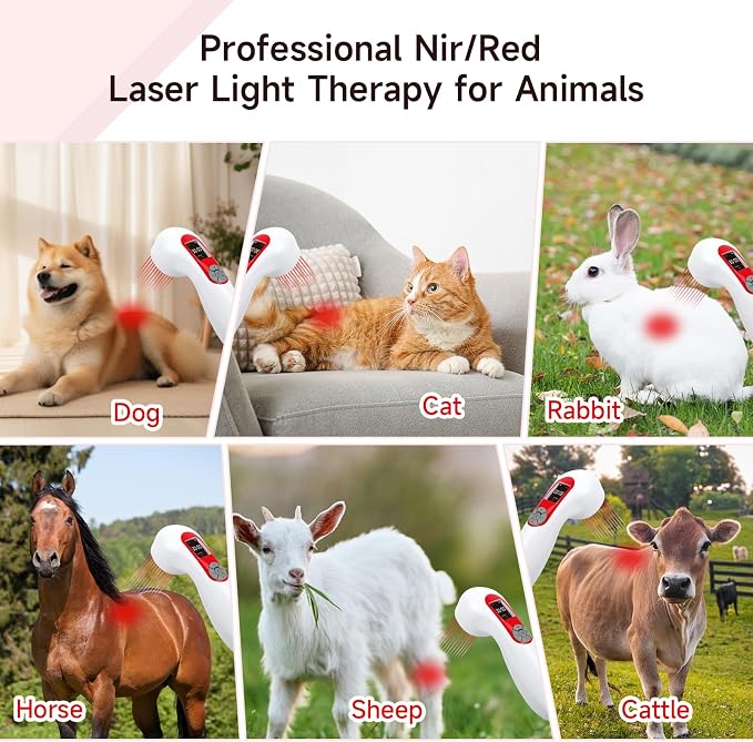 5000mAh Infra Red Light Cold Laser Therapy Device for Dog Pain Relief Low Level Infrared Laser Therapy Machine Pet 808 650nm Professional Vet LLLT Horse Portable Healing Treatment Home Muscle Relax
