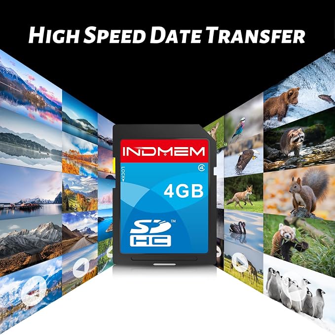 SD Card 4GB, 10 Packs Class 4 4GB Flash Memory Card MLC Standard Secure Digital Cards Camera Card