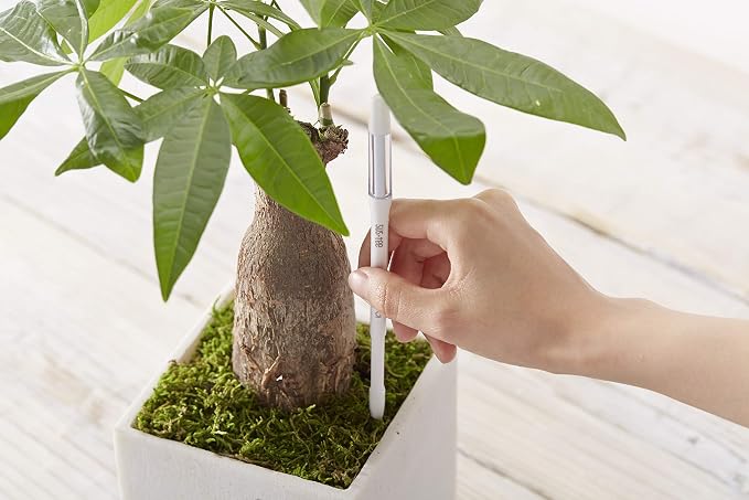 Sustee Aquameter Medium (Green Refillable) - Plant Soil Moisture Sensor - Best for Potted Plants - Probe, Meter, Indicator