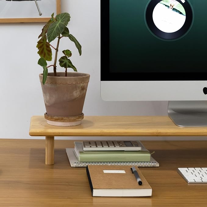 Bamboo Dual Monitor Stand Riser with Underneath Storage, Ergonomic Desk Shelf Supports PC Computer Monitor, Printer, TV for Home, Office, Natural