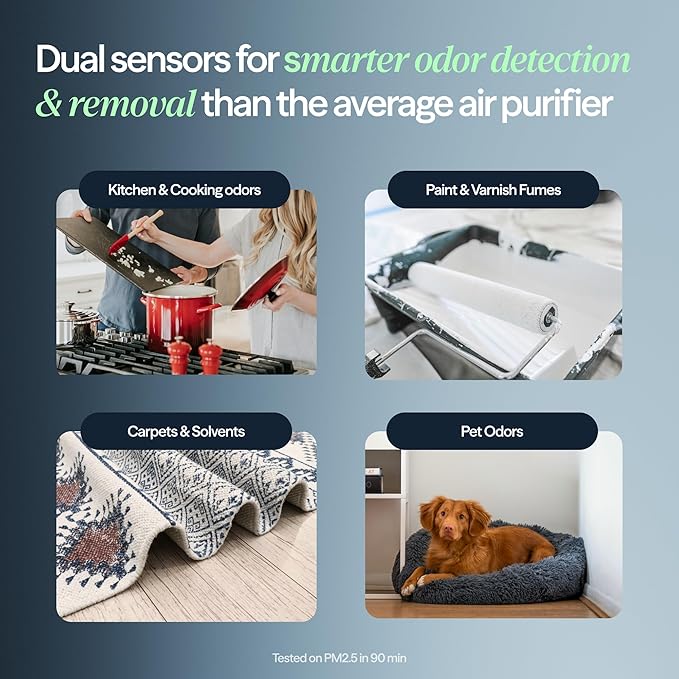 BLUEAIR Blue Signature SP3i Air Purifier for Medium Rooms up to 2,250 sq ft, HEPASilent Filtration, WiFi Smart Control, Auto Mode, Odor & Smoke Removal, Pet Hair & Dust, AHAM Verified, Table Design