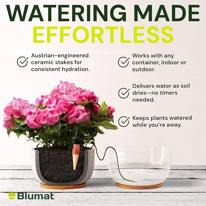 Blumat Classic Self-Watering Stakes - Prevents Overwatering and Underwatering for Healthy Growth While You are Away - Ideal for Indoor Plant Watering, 6 Pack, w Adapter
