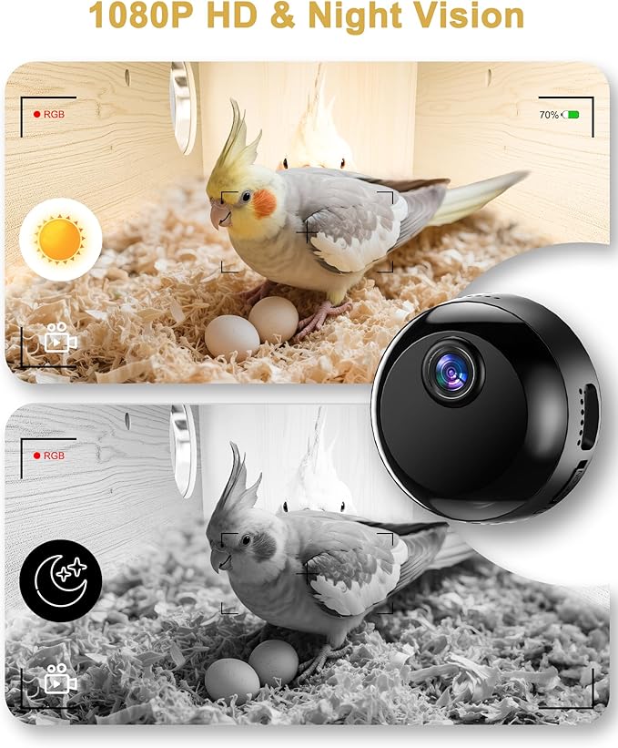 Parakeet Nesting Box,Bird House with Camera,Natural Bird Nest Box with 1080P Wi-Fi Camera, Visual Breeding Record for Pet Bird Budgies, Parrots, Finches, Canaries