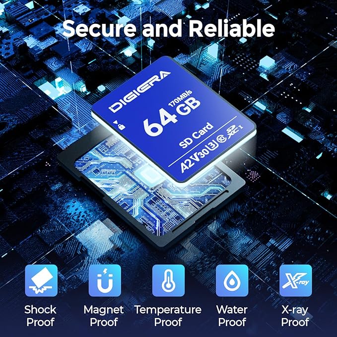 DIGIERA 64GB LS100 SDXC UHS-I Memory Card - up to 170MB/s, C10, U3, V30, 4K UHD, SD Card for Computers, Digital Cameras, Home Theatre Devices, Car Navigation Systems (1 Pack)