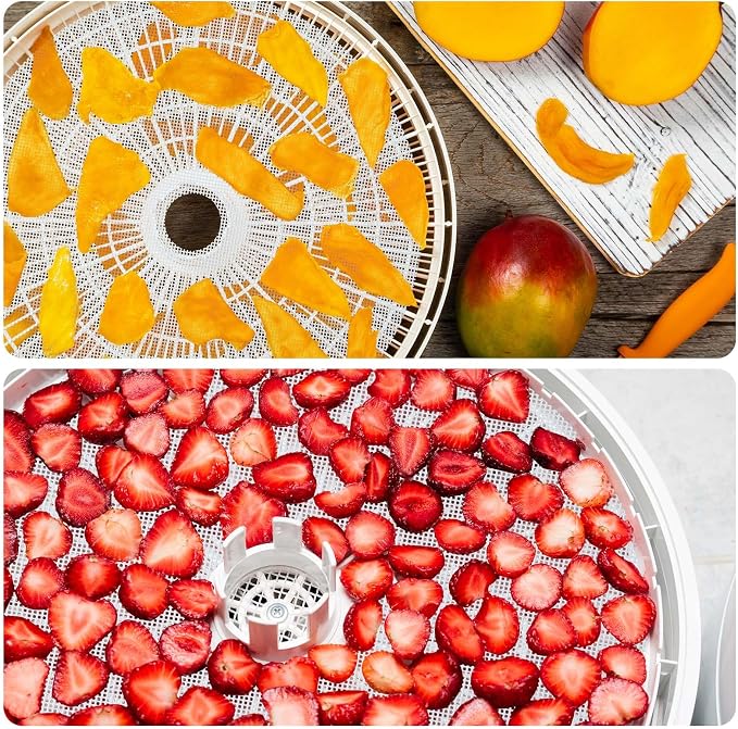 Domensi 12 Pcs Round Dehydrator Sheets Non Stick Silicone Dehydrator Mats with Edges Reusable Roll Tray Liner for Fruit Meat Beef Kitchen, 13 12.5 Diameter