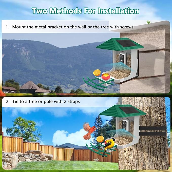 2.5K Smart Bird Feeder with Camera, 5GHz &2.4GHz Birds Watching Camera with AI Identify Bird Species, Outdoor Birds Feeder House with Solar Panel for BirdLovers (Green)