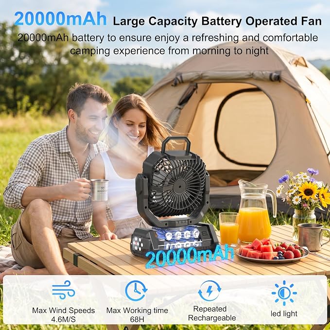 Portable Rechargeable Fan 20000mAh, Battery Powered Camping Fan with LED Light& Remote,4 Speeds Wind,USB,Cordless,Oscillating,Timer for Travel Tent,Rv Camping Essentials (Black)