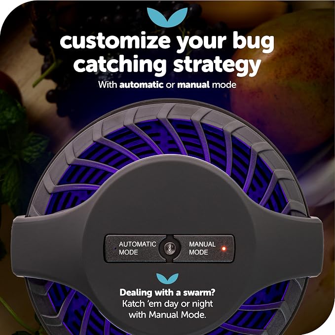 Katchy Midnight - Indoor Insect Trap with Automatic Setting - Fan Powered with UV Light - Fruit Fly Traps for Indoors - for Fruit Flies, Gnats, Mosquitoes, Moths
