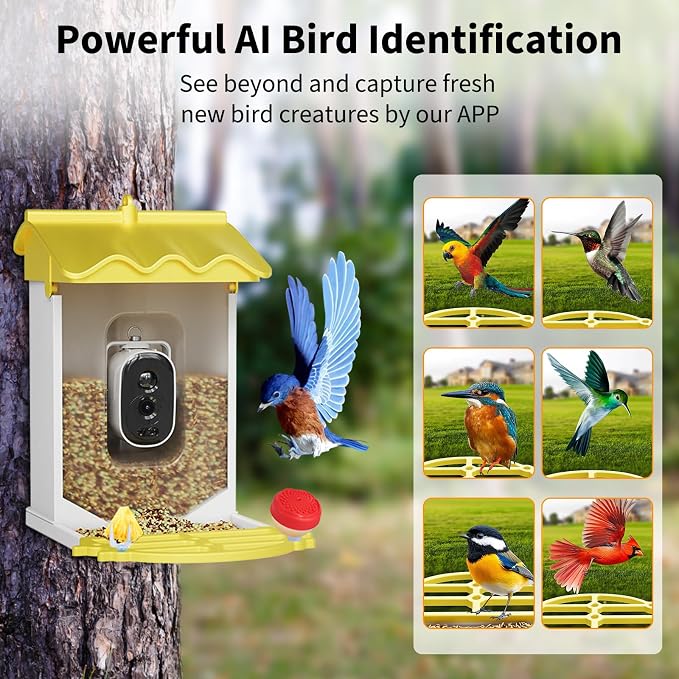 GarveeLife Smart Bird Feeder with 2K Camera & AI Recognition - Solar Powered, 2l Capacity, Night Vision, App Alerts, Auto Capture Photos/Videos for Bird Watching