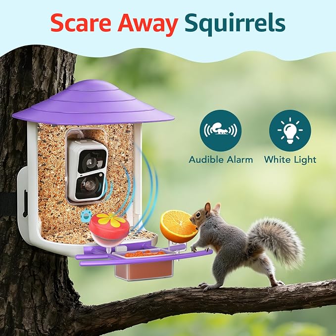 birdsnap® TUC Bird Feeder with Camera 2K HD Live with 32GB Card Auto Detect & Notify AI Identify Camera Birds Feeders Solar Powered Wireless Outdoors Backyard Gift for Mom Dad Birds Lover, 2.4G WiFi