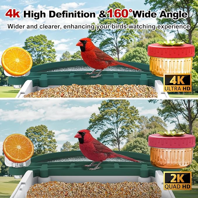 Bird Feeder Camera with 4K HD, App Alerts & Two-Way Audio, Solar Panel, 32GB Card 4-in-1 Perch, 160° View, Auto Detect & AI Identify - Wireless Outdoors Weatherproof Design (Army Green)