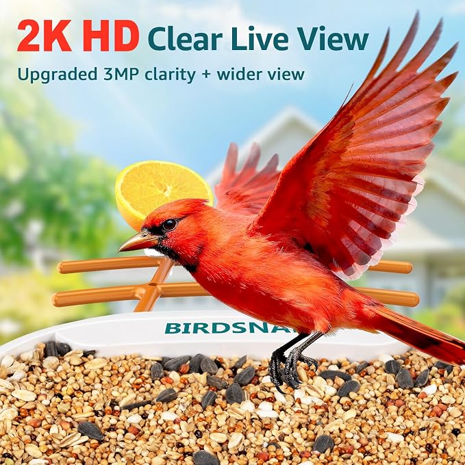 birdsnap® TUC Bird Feeder with Camera 2K HD Live with 32GB Card Auto Detect & Notify AI Identify Camera Birds Feeders Solar Powered Wireless Outdoors Backyard Gift for Mom Dad Birds Lover, 2.4G WiFi