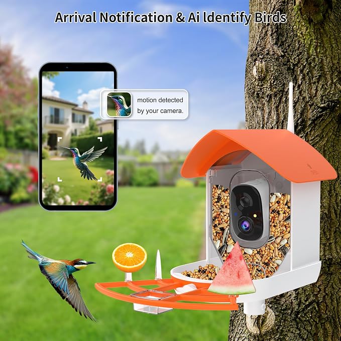 Bird Feeder with Camera,AI Identify Birds Species,Smart Birds Camera with Solar Powered,Auto Record FHD Feather Visitor Video in Backyard,Garden,Instant Notifications,Ideal Gifts for Family,Orange