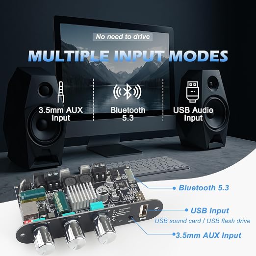 2PCS ZK-1001U Mono Amplifier Board with TWS, 100W Power Output, Vehicle Amplifier Wide Voltage Input 9-24V, Supports USB/AUX/Bluetooth