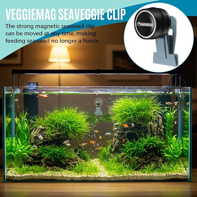 Blulu 1 Pcs Magnetic Seaweed Feeding Clips Saltwater Aquarium Tank Accessories Algae Magnet Seaweed Feeder for Fish and Aquatic Pets, Automatic Fish Feeder