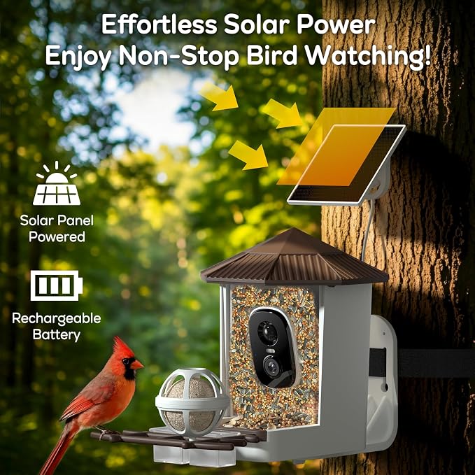 wansview Bird Feeder with Camera-Smart Bird Feeders for Outdoors Solar Powered, Birdhouse with Cam & Alert, 2K Live Video, AI Identify Species, Birdwatching Gift for Father's Day, F1, Brown, 2.4G WiFi