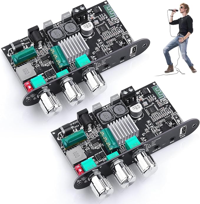 ZK-1001UM Bluetooth 5.3 Amplifier Board, 100W Mini Mono Audio Amp with TWS Box, DC 9-24V Boost Circuit Amps for Home Outdoor DIY Speakers, MIC and Reverb, USB/AUX Input, (2 Pack)