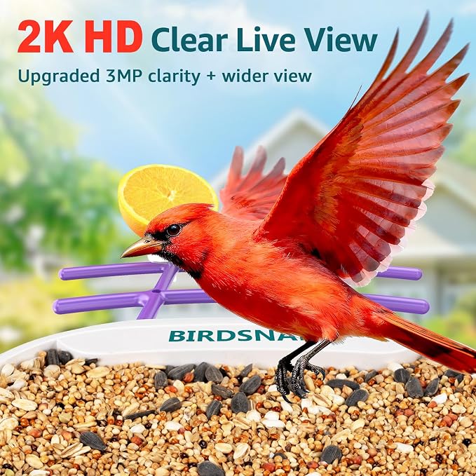 birdsnap® TUC Bird Feeder with Camera 2K HD Live with 32GB Card Auto Detect & Notify AI Identify Camera Birds Feeders Solar Powered Wireless Outdoors Backyard Gift for Mom Dad Birds Lover, 2.4G WiFi