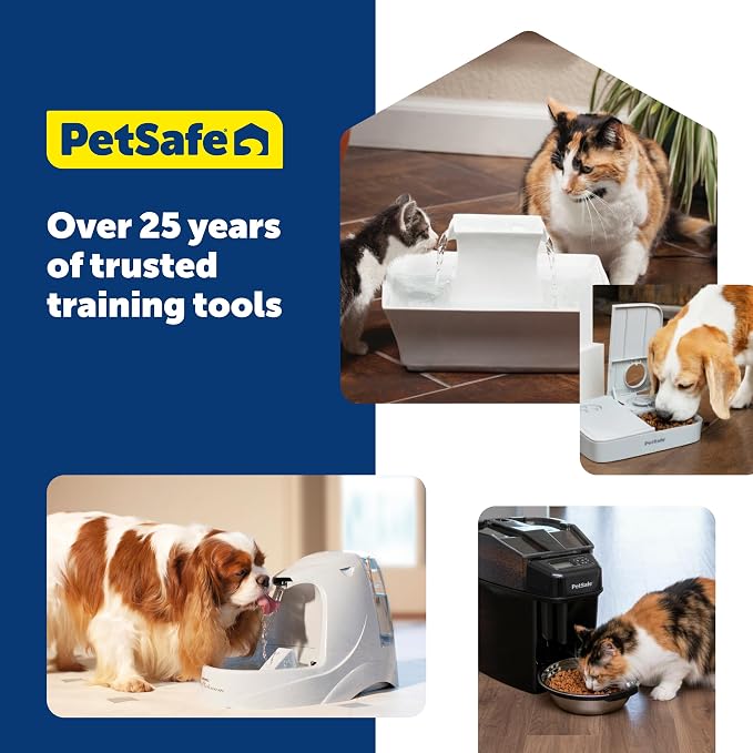 PetSafe Stainless Steel Dog and Cat Bowl, Grey, 5 Cup