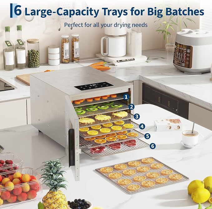 Food Dehydrator, 6 Stainless Steel Trays, 85–170°F Temperature Control | 420W Jerky Dehydrator, 4 ft² Drying Space, 24-Hour Timer, for Meat, Fruit, Veggies, Dog Treats & Snacks, Bright-Silver