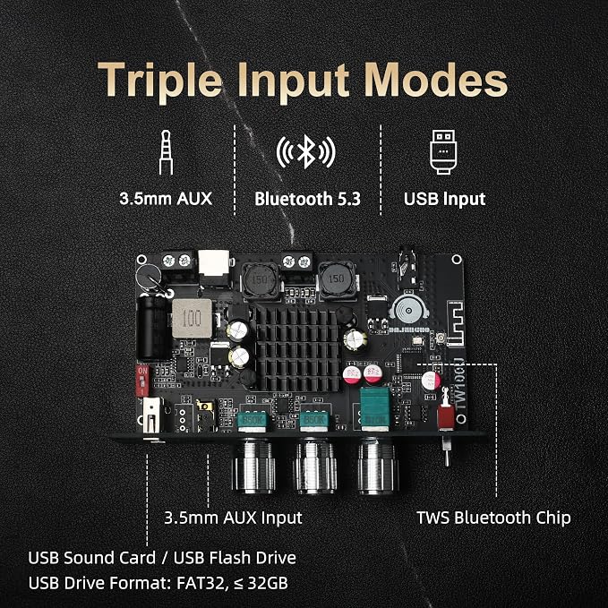 TW100U 100W Mono Bluetooth 5.3 Amplifier Board, TPA3116D2 Digital Power Amp Module with Built-in Step-up Voltage Circuit (19V/24V), Supports TWS Wireless Pairing, BT/AUX/USB Input