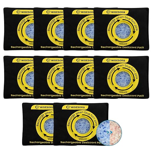 Wisesorb 100g Reusable Silica Gel Desiccant Packs, Rechargeable Dehumidifier Moisture Absorbers with Color Indicator for Storage, Gun Safes, Suitcases, 3D Printing Filaments, Electronics, Cars[10Pack]