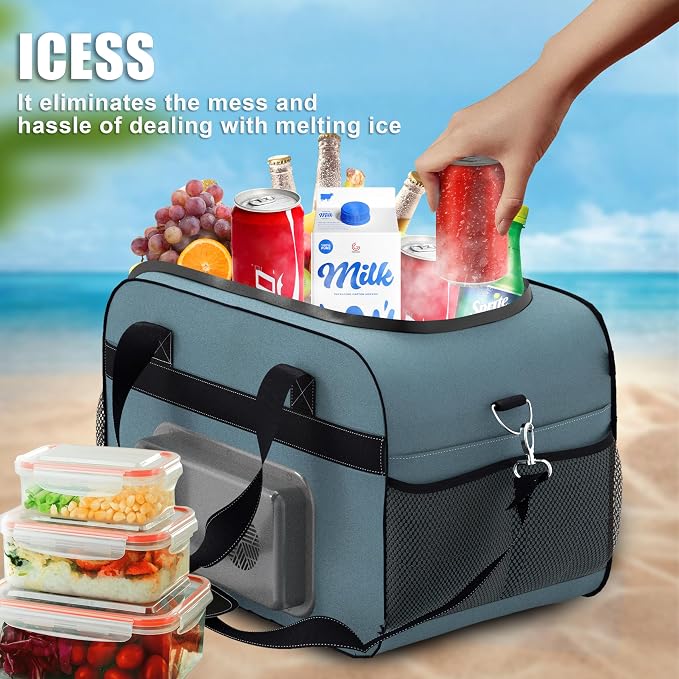 outohome Electric Portable Cooler Plug in 12V Car Cooler Bag, Warmer Bag for vehicle, Lunch Bag for Family