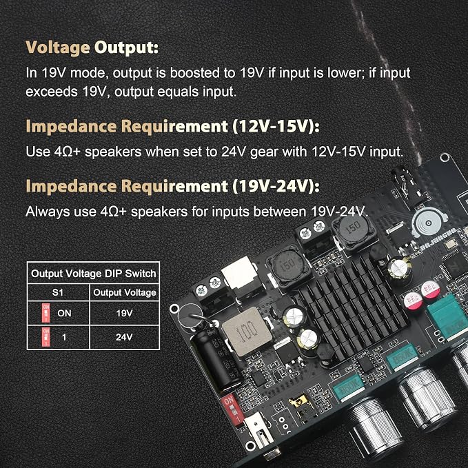2PCS TW100U 100W Mono Amplifier Board, TPA3116D2 Digital Power Amp Module with Built-in Step-up Voltage Circuit (19V/24V), Supports TWS Wireless Pairing, Bluetooth 5.3, AUX, USB Input, DC 12-24V