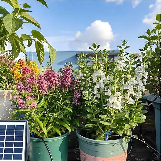 RISINGUP Solar Drip Irrigation System for 15 Potted Plants Outdoor Garden | Automatic Plants Watering System with Anti-Siphoning Device, Programmable Smart Watering for Garden, Balcony, Greenhouse