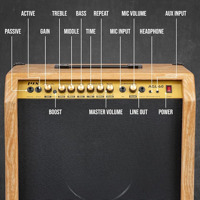 LyxPro 60 Watt Electric Guitar Amplifier | Combo Solid State Studio & Stage Amp with 10” 4-Ohm Speaker, Custom EQ Controls, Drive, Delay, ¼” Passive/Active/Mic Inputs, Aux In & Headphone Jack -Natural