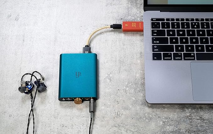 iFi iDefender+ USB Audio Ground Loop Eliminator (Type C > C)