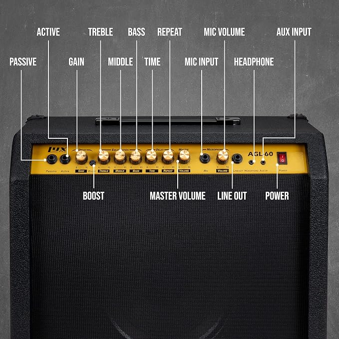 LyxPro 60 Watt Electric Guitar Amplifier | Combo Solid State Studio & Stage Amp with 10” 4-Ohm Speaker, Custom EQ Controls, Drive, Delay, ¼” Passive/Active/Microphone Inputs, Aux in & Headphone Jack