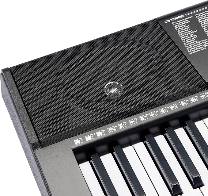 Amazon Basics Portable Electric Keyboard Piano with 61 Full Size Keys, Built-in Speakers, Songs for Learning, Digital Piano, Black