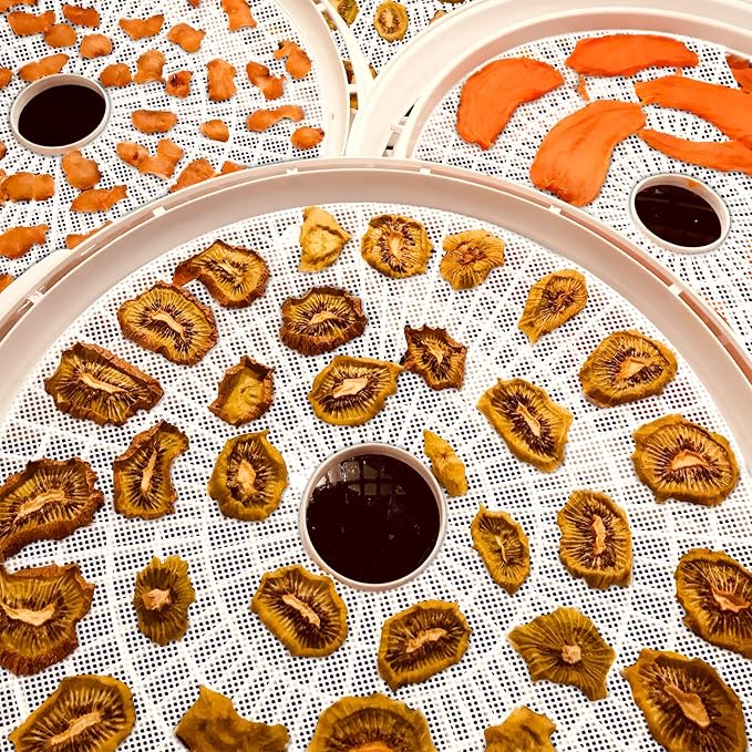 (8 Pack) Round Silicone Dehydrator Sheets, Dostk Premium Non Stick Silicone Mesh for Fruit Dehydrator, Tray Liner Reusable (Round 13" Diameter)